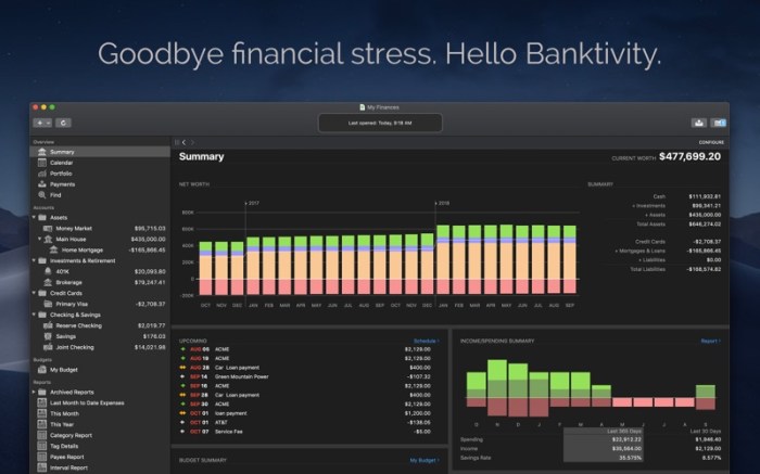 Banktivity 7 Screenshot 01 1mw25eey