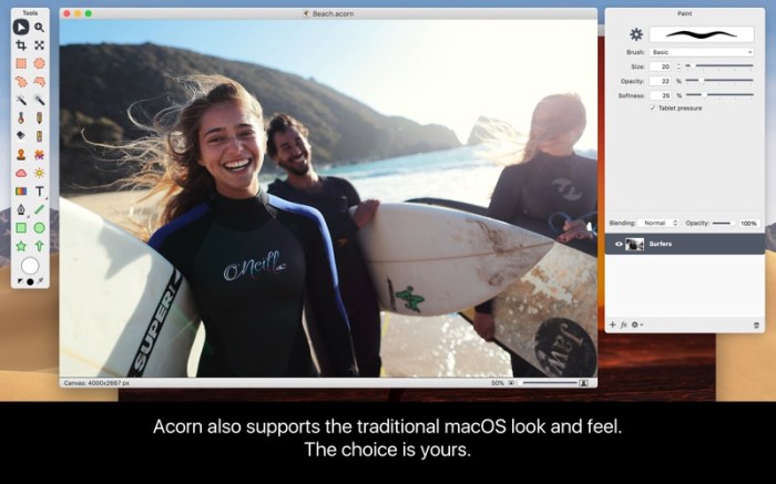 Acorn 6 Image Editor Screenshot 02 txhfb8y