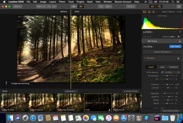 Skylum Software Bundle 2019 Update 1509 Screenshot 03 a2bzrey