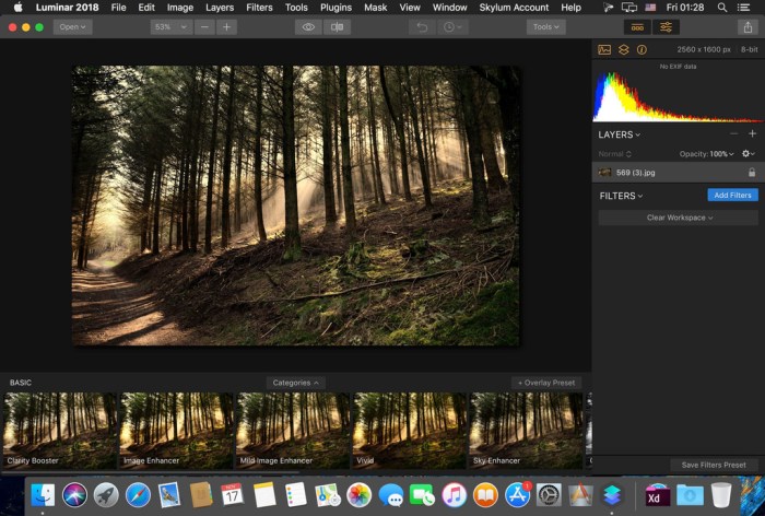 Skylum Software Bundle 2019 Update 1509 Screenshot 02 a2bzrey