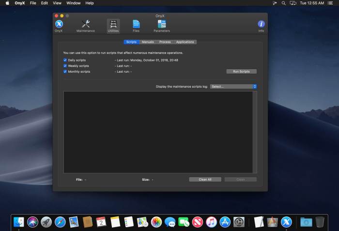 OnyX 367 Screenshot 02