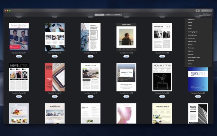 Templates for Pages - DesiGN Screenshot 07 1mw258py