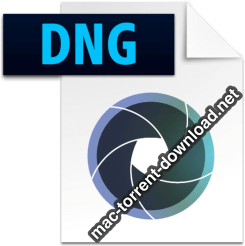 Adobe DNG Converter icon