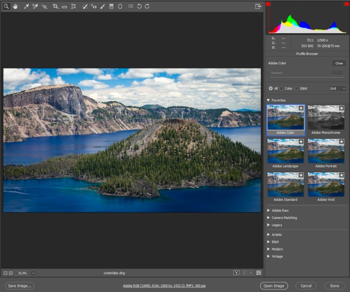 Adobe Camera Raw 1141 Screenshot 01 t1epc4n