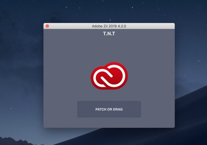 Adobe Zii 444 CC2019 Screenshot 02 1fhyl1cy