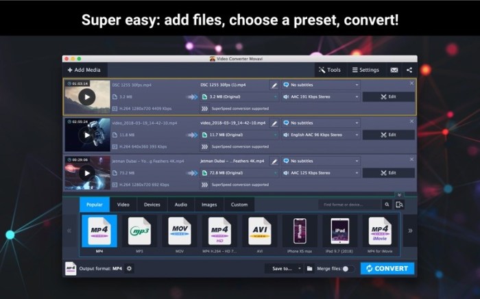 Video Converter Movavi Screenshot 02 bj1ryky