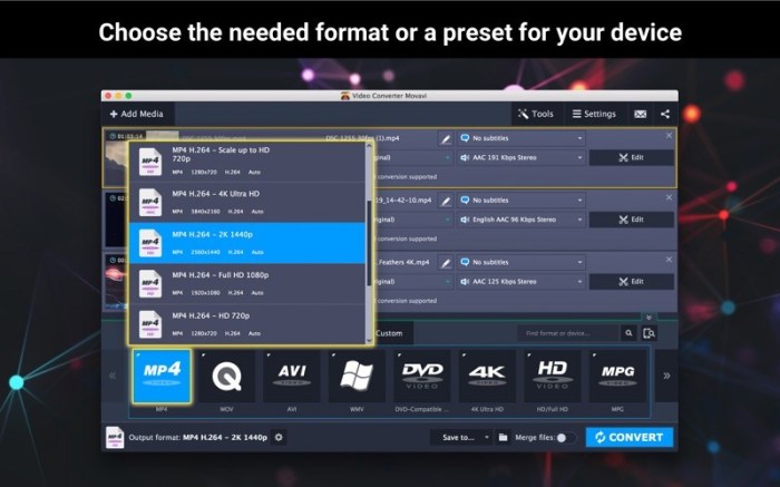 Video Converter Movavi Screenshot 04 bj1ryky
