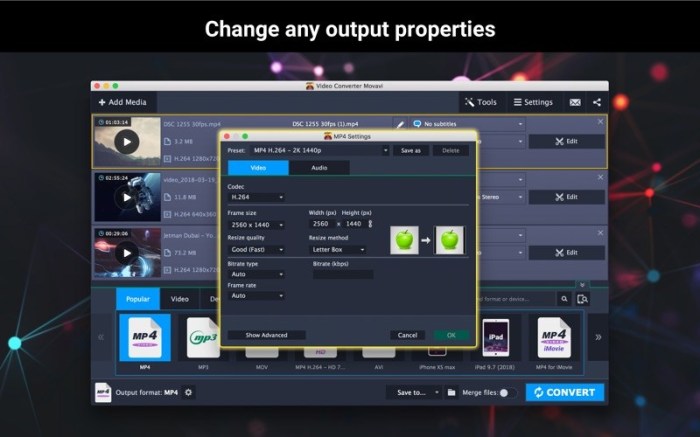 Video Converter Movavi Screenshot 03 bj1ryky