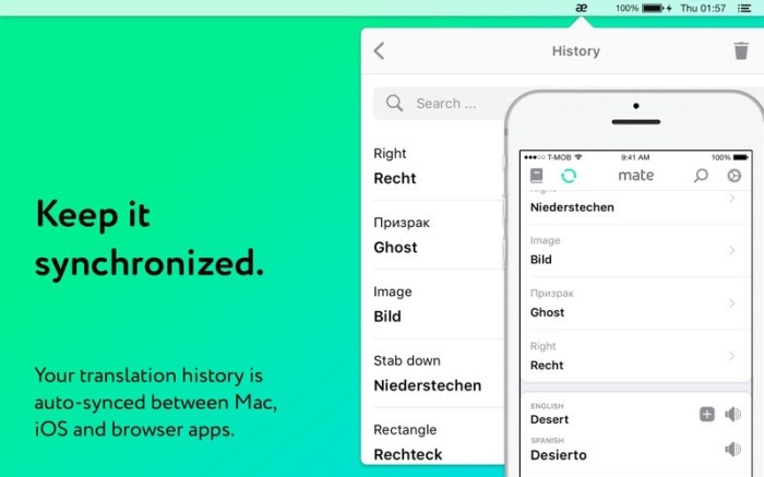 Mate: Universal Tab Translator Screenshot 09 vq0s4sn