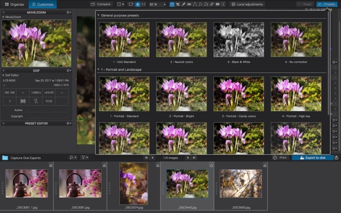 DxO PhotoLab 2 ELITE Edition 23143 Screenshot 01 q4r5zdy