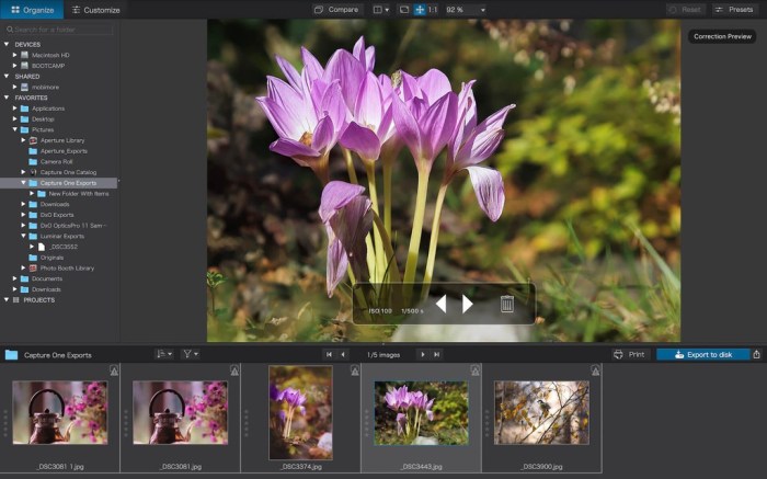 DxO PhotoLab 2 ELITE Edition 23143 Screenshot 02 q4r5zdy