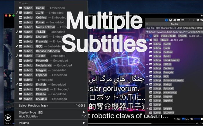 Movist Screenshot 02 nbq3kfy