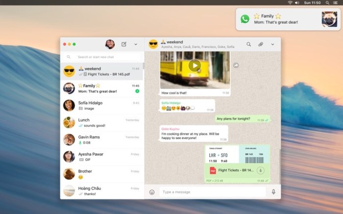 WhatsApp Desktop Screenshot 01 8lw2i0y