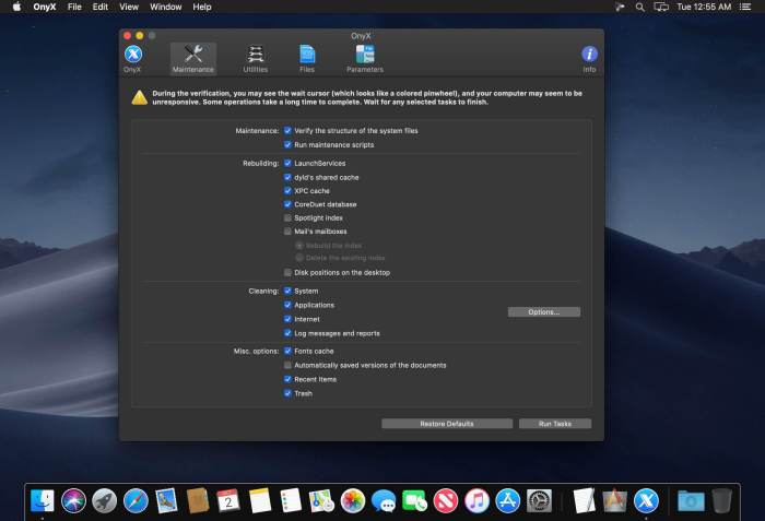 OnyX 367 Screenshot 01