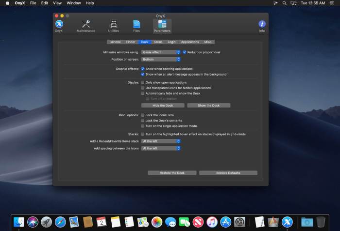 OnyX 367 Screenshot 03