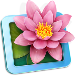 LilyView icon
