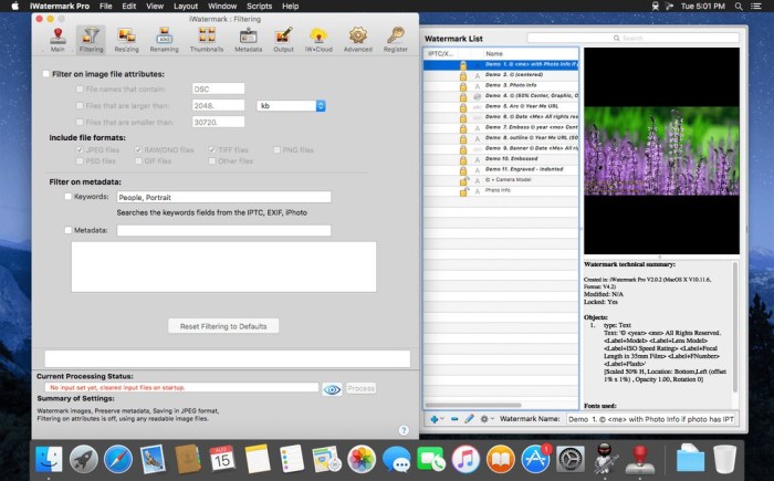 iWatermark Pro 2510 Screenshot 02 dne9u2y