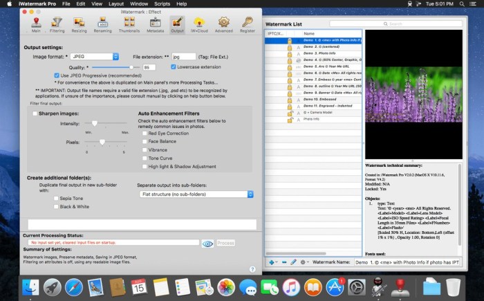 iWatermark Pro 2510 Screenshot 03 dne9u2y