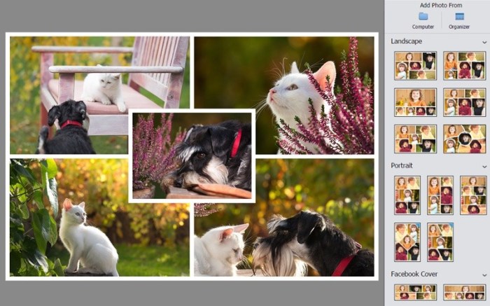 Adobe Photoshop Elements 2019 Screenshot 03 me68lyy