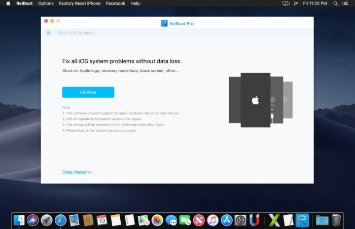 Tenorshare ReiBoot Pro 7344 Screenshot 02 o3d31oy