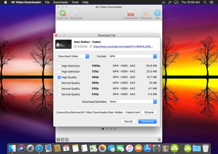 4K Video Downloader 490 Screenshot 03 9wx6u0n