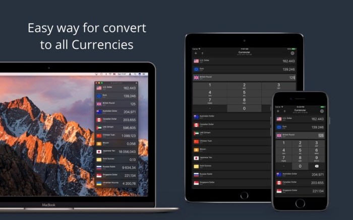 Currencier. Currency converter Screenshot 01 181aippy
