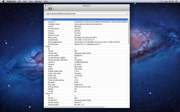 MediaInfo Screenshot 02 1kliagzy