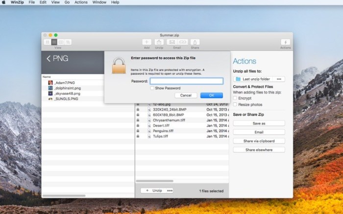 WinZip - Zip, unzip, protect Screenshot 03 1fryheon