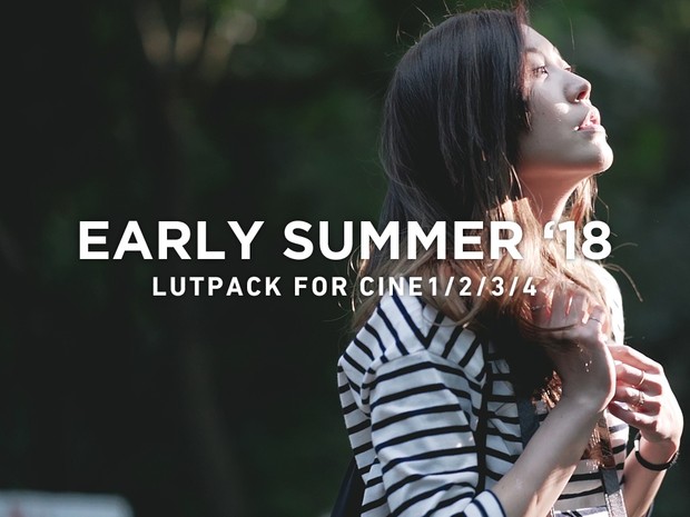 RÃ©sultat de recherche d'images pour "SUMMER 18 LUTs (Win/Mac)"