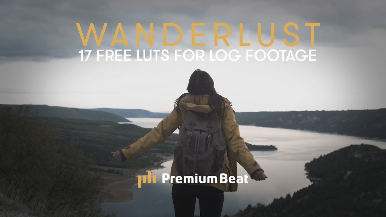 RÃ©sultat de recherche d'images pour "Professional set of 50 LUTs"