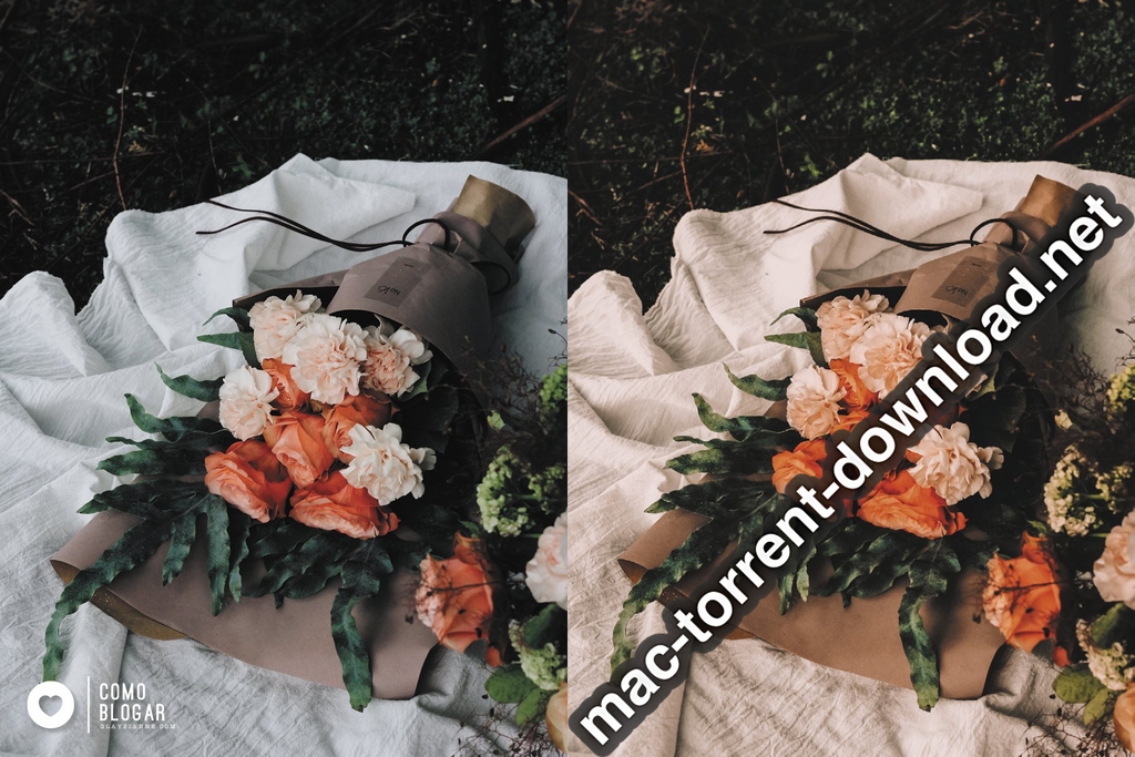 49 VSCO VSCO 20 Screenshot 15 dt8z0fn