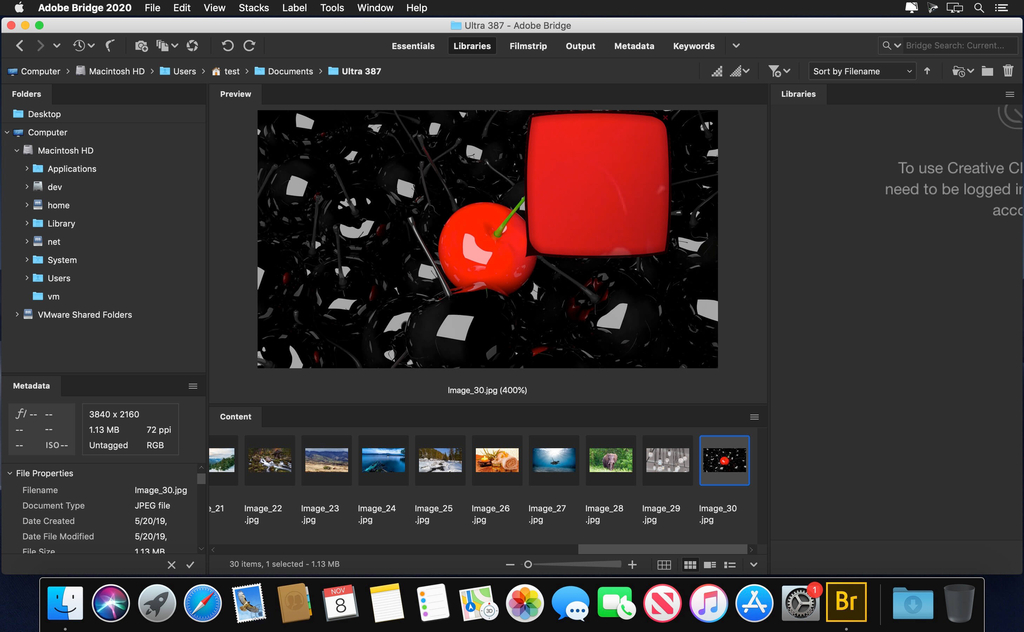Adobe Bridge 2020 v1000124 Screenshot 01 m8axkiy