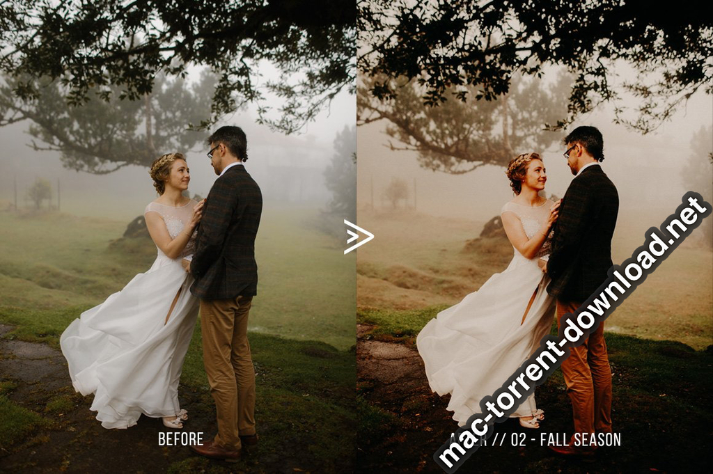 Grassland 3D LUTs for Photoshop AE Premiere Resolve and FCP X Win macOS Screenshot 03 1geqkyln