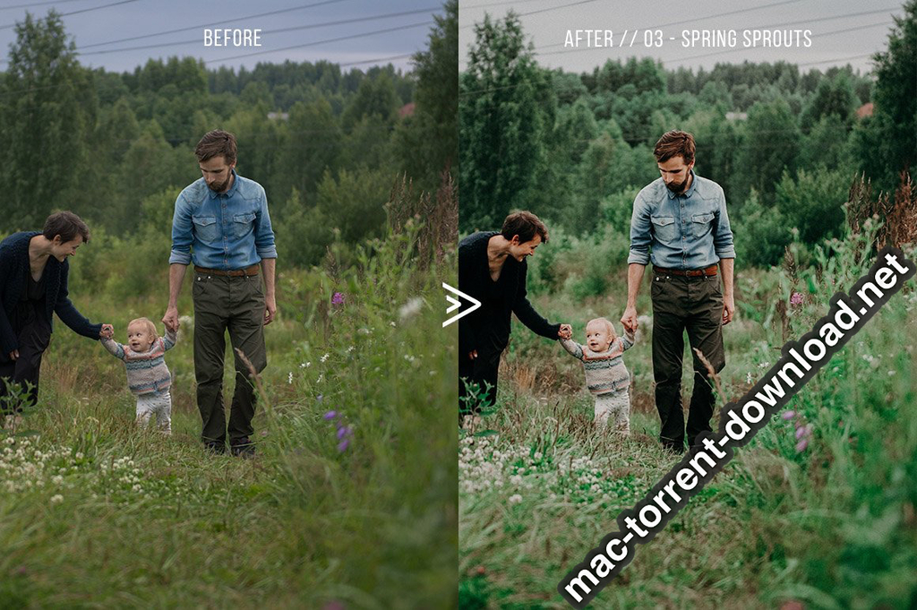 Grassland 3D LUTs for Photoshop AE Premiere Resolve and FCP X Win macOS Screenshot 04 1geqkyln