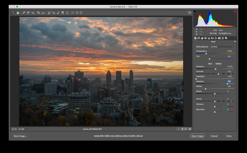 Adobe Camera Raw 120 Screenshot 01 np091jy