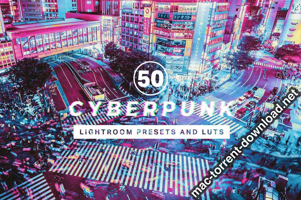 50 Cyberpunk Lightroom Presets and LUTs Screenshot 01 1izw30sn