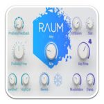 Native Instruments Raum